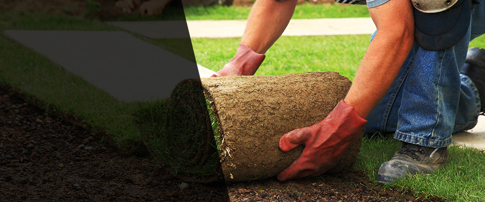 Tifton Landscapers